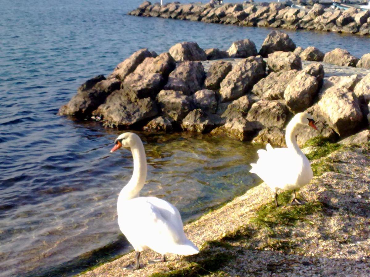 Residenza Al Sogno - On Lake Garda Cavaion Veronese Extérieur photo